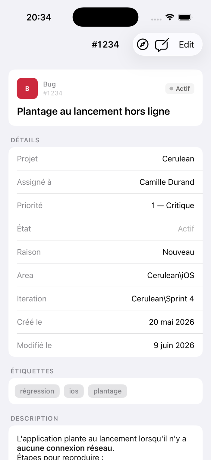 Détail d'un work item dans Cerulean