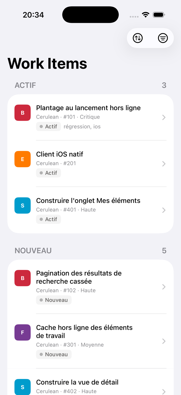 Liste des work items dans Cerulean sur iPhone