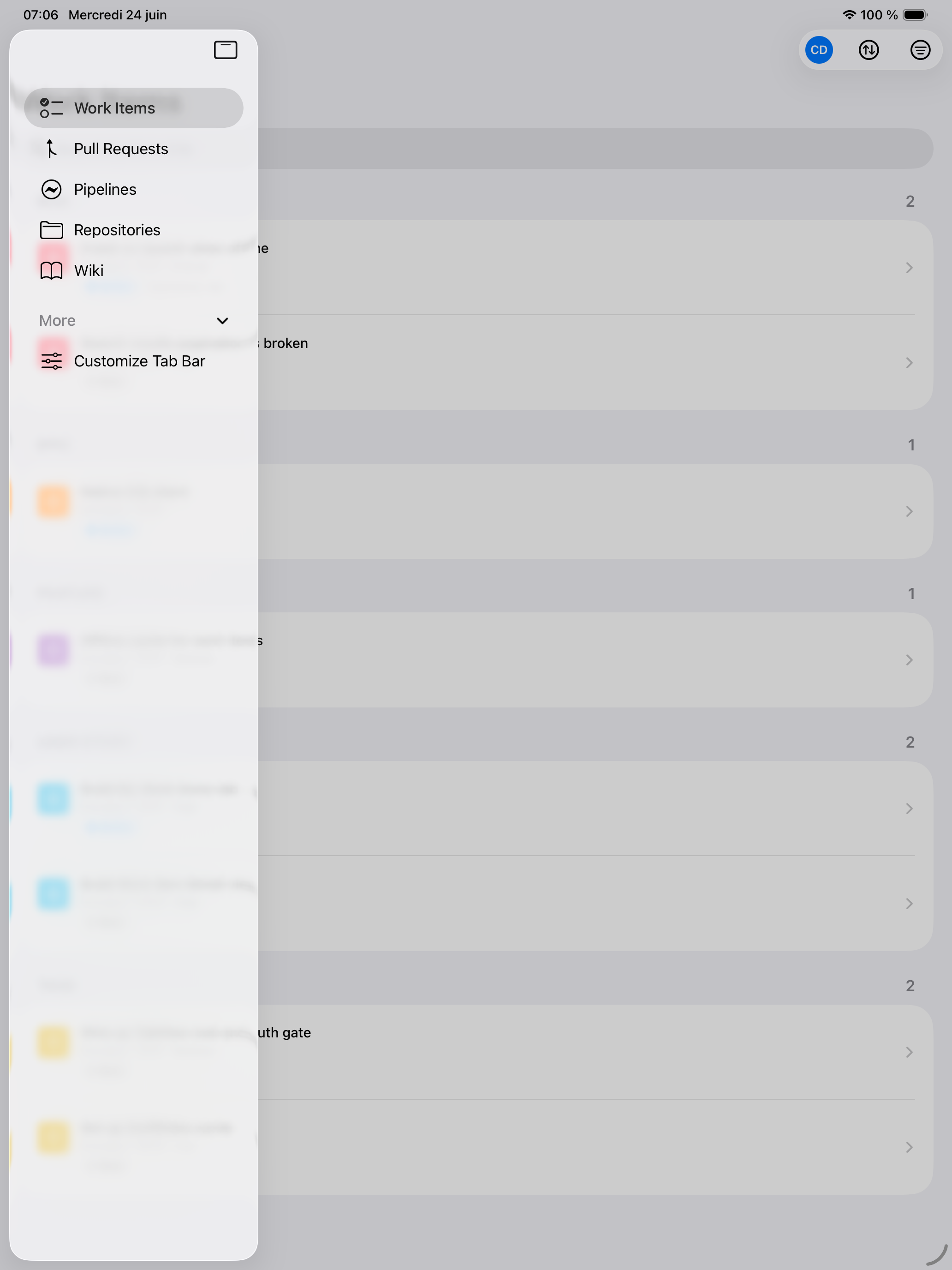 Customizable navigation in Cerulean on iPad