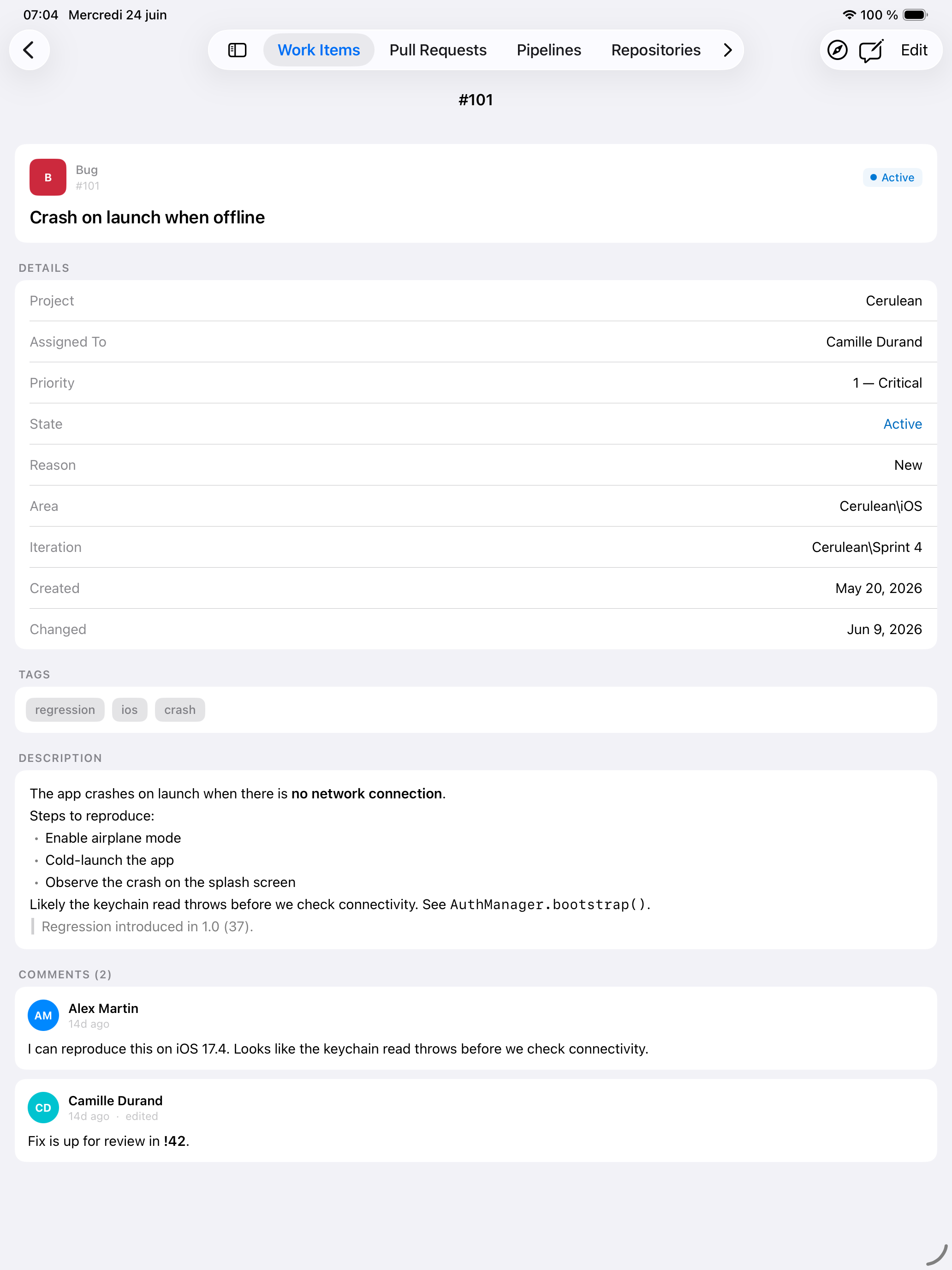 Work item detail in Cerulean on iPad