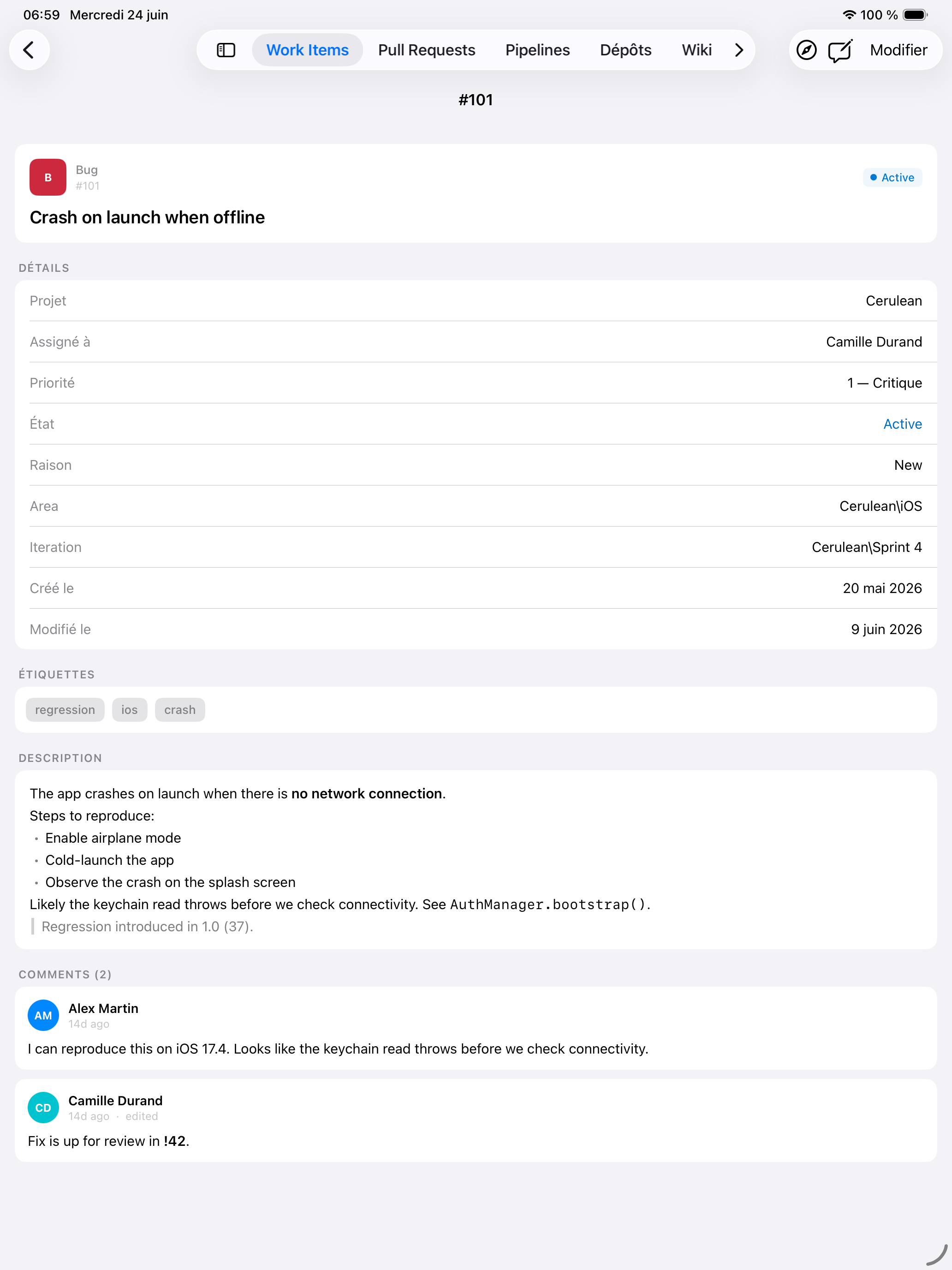 Détail d'un work item dans Cerulean sur iPad