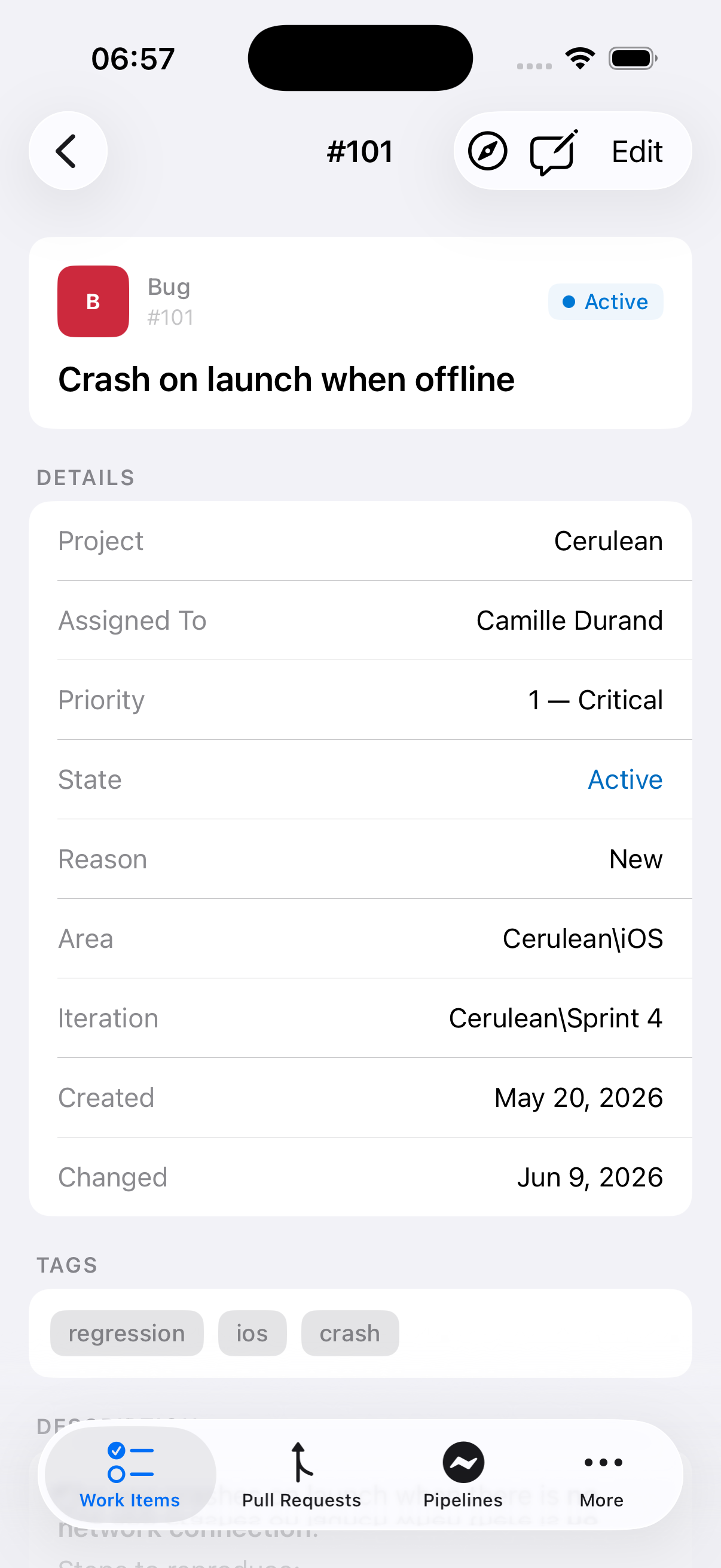 Work item detail in Cerulean on iPhone