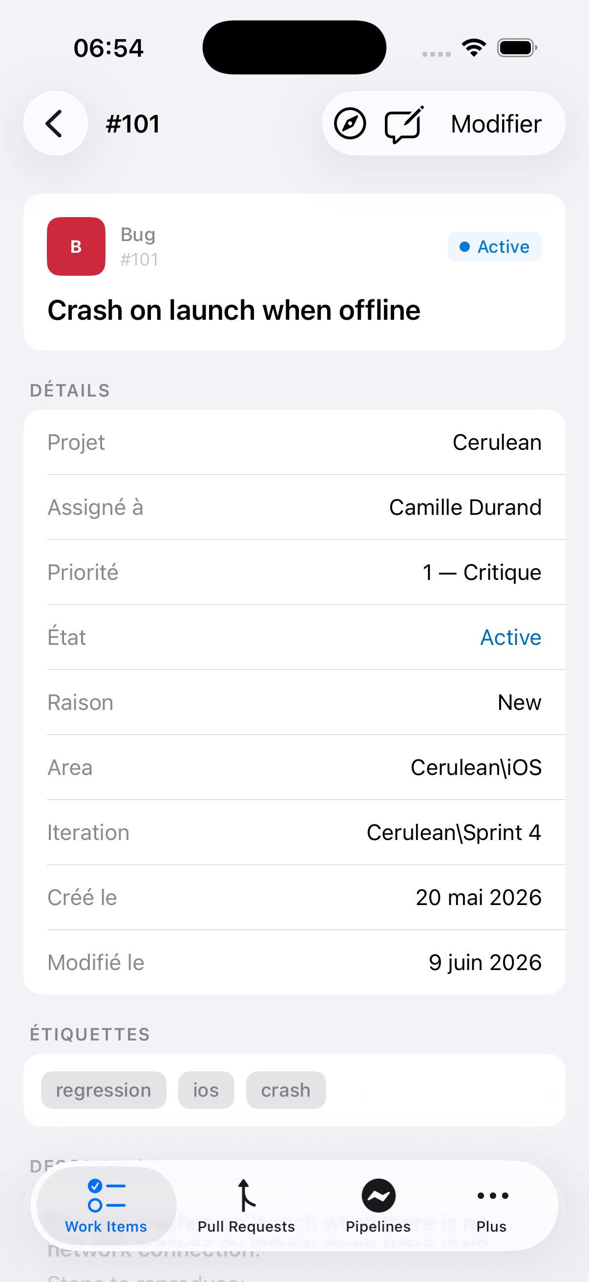 Détail d'un work item dans Cerulean sur iPhone